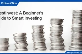 LeestInvest A Beginner's Guide to Smart Investing