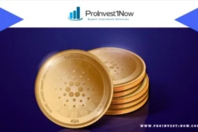 Biitland.com stablecoins