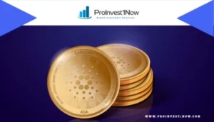 biitland.com stablecoins