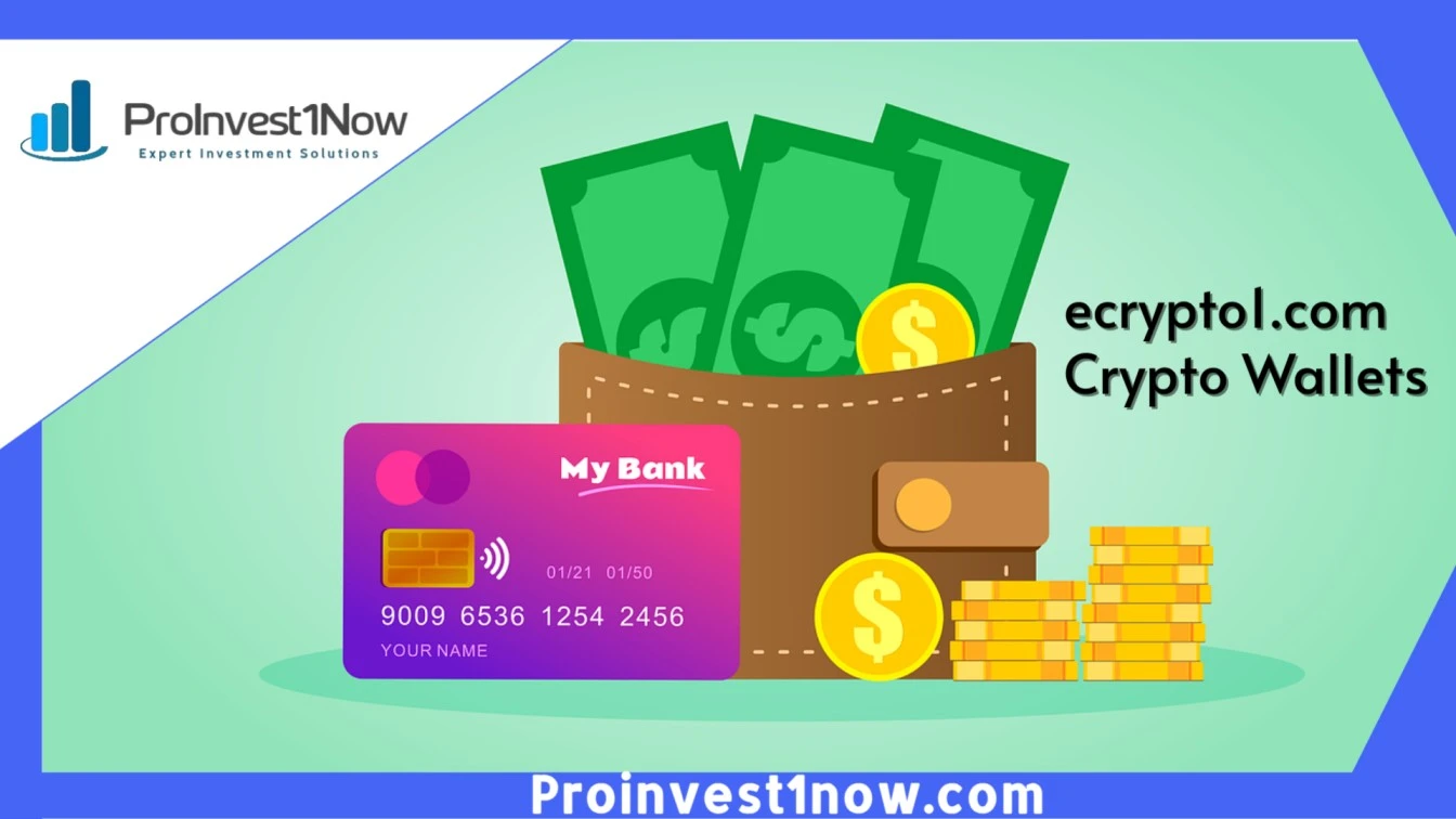 ecrypto1.com Crypto Wallets